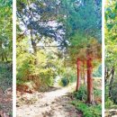 실리수산 이미지