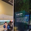 이야기 한국사 원정대 이미지