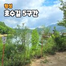 횡성 호수길 6구간 | 횡성호수길 5구간 가족길 A코스 걷고 한우 먹방 당일치기 여행