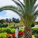 알루하우스A 이미지