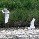 백로산장 이미지