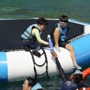 모두 나이스투어 네이버블로그