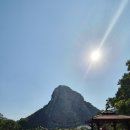 적음농장 이미지