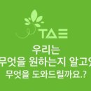사진포토사진