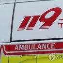 119 이미지