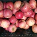 종구농장 이미지