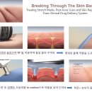 레가토 이미지