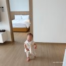 세븐일레븐 속초제일점 | 속초 롯데리조트 콘도 스위트 더블 온돌 숙박 후기 13개월 아기랑