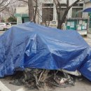 양천경찰서 교통조사계 앞 이미지