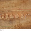 반송 탄요유적공원 탄요지 이미지