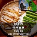 보스호프 이미지