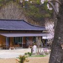 선인1리 이미지