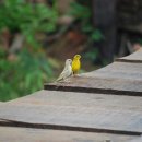 대농농장 이미지