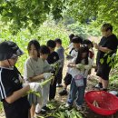 테마역사한자교실 5차시(7월25일) 후기(작성중) 이미지
