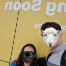 (주)고래타워 고덕단독주택점 | [시드니 여행_1일차] 시드니 공항 픽업 및 동부해안 투어