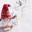 금하로23길 이미지