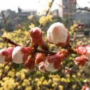 대아주차장 이미지