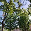 광명시 오리 경로당 이미지