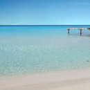 서초동부점현대자동차 이미지