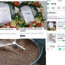 세라비픽 이미지