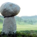 조아밸리골프장 이미지