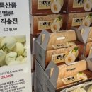 청정옥 이미지