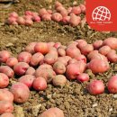 야미하우스 이미지