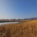 영종대로566번길 이미지