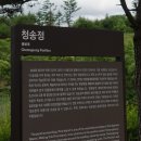 CU청송중앙점 | [뚜벅이전용] 알펜시아 홀리데이인리조트 후기 ( With 대관령음악제 )