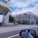 369김밥 | 파주출판단지 369 김밥 후기