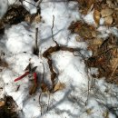 도마1리 이미지