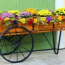 풍경힐링 이미지