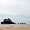 소분점도 Daum카페