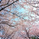 호구포근린공원 이미지