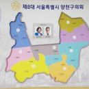 서울스타의원 이미지