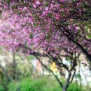 마을정미소 이미지