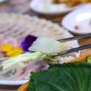 대구회식당 - 포항시 북구 죽도시장길 33 | 대구회식당