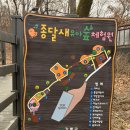 명일공원 유아숲체험원 이미지