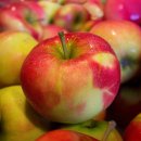 로그짐 올림픽공원점 이미지