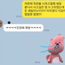 에펠슈즈 이미지