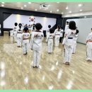 풍진(태권도) 이미지