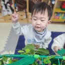 아이천국어린이집 이미지