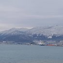 엔젤카케어 이미지