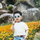 박우진 카카오 검색결과