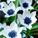 여행 일본어 중급 이미지