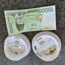 모닝클럽 Daum카페