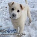 호돌이농장 이미지