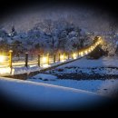 들녁의 하얀집 이미지