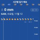 그린월드 이미지