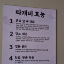 울릉도며느리 | 강릉초당맛집 울릉도며느리 바다내음이 담긴 따개비 요리